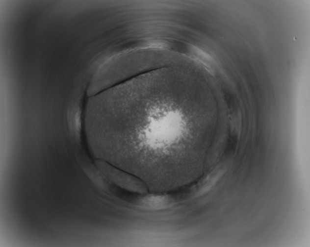 X0000090440350200707131224