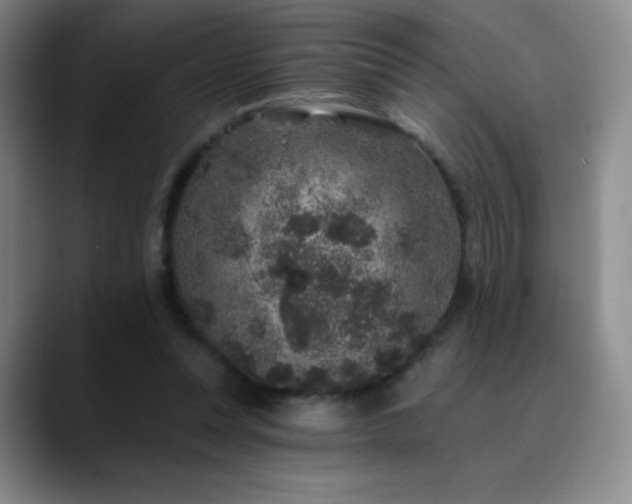 X0000090440351200707131224