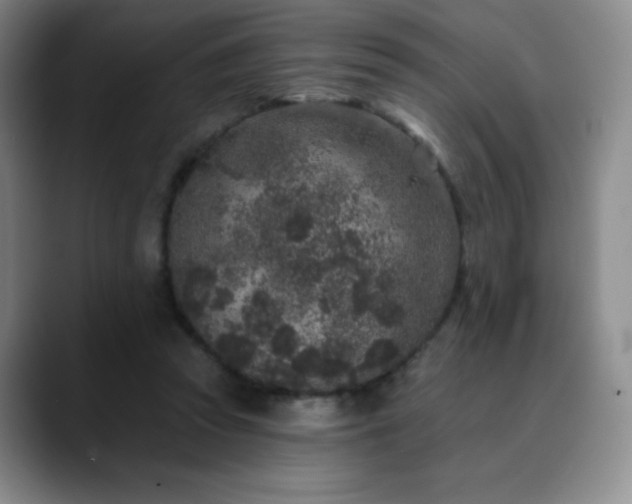 X0000090440353200707131224