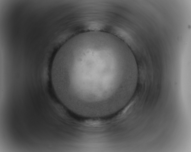 X0000090440354200707131224