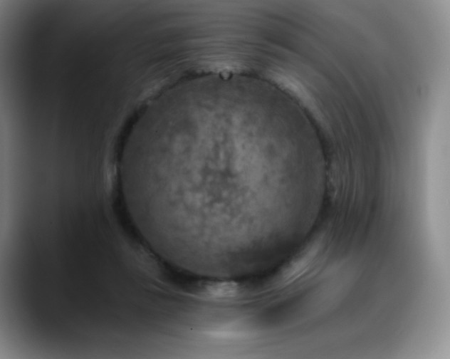 X0000090440355200707131224