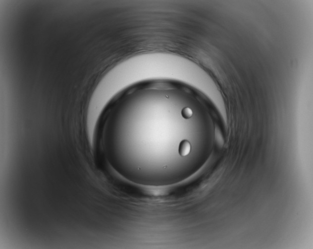 X0000090440356200707131224