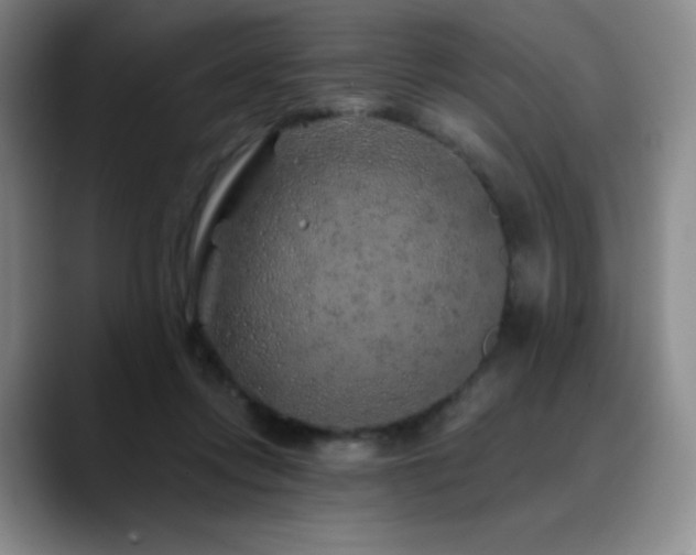 X0000090440358200707131224