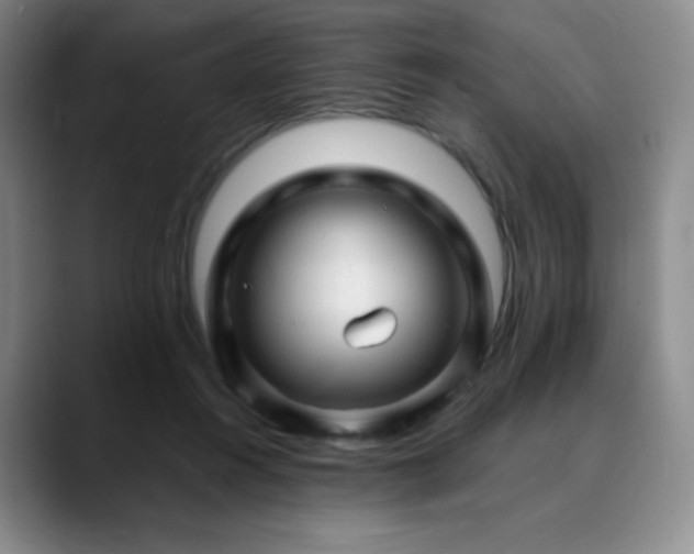 X0000090440360200707131224