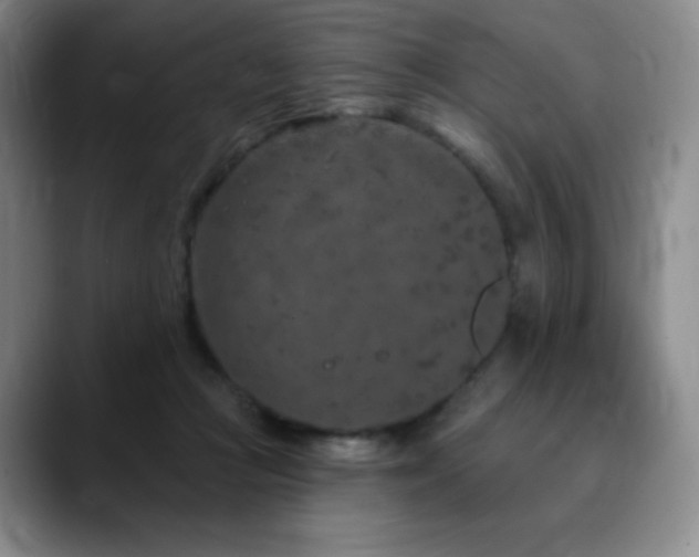 X0000090440361200707131224