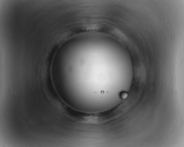 X0000090440362200707131224