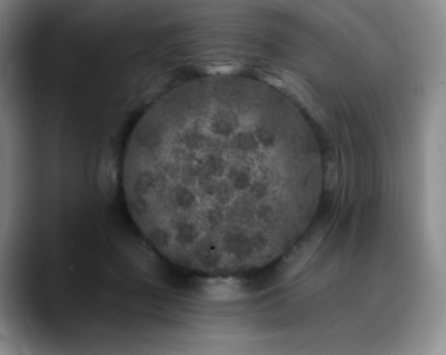 X0000090440363200707131224