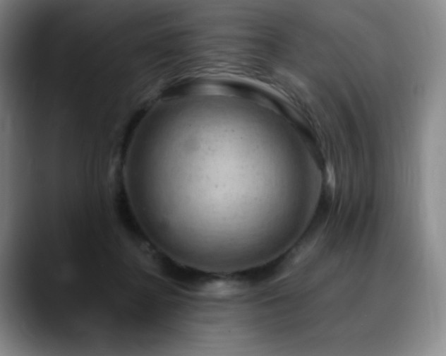 X0000090440364200707131224