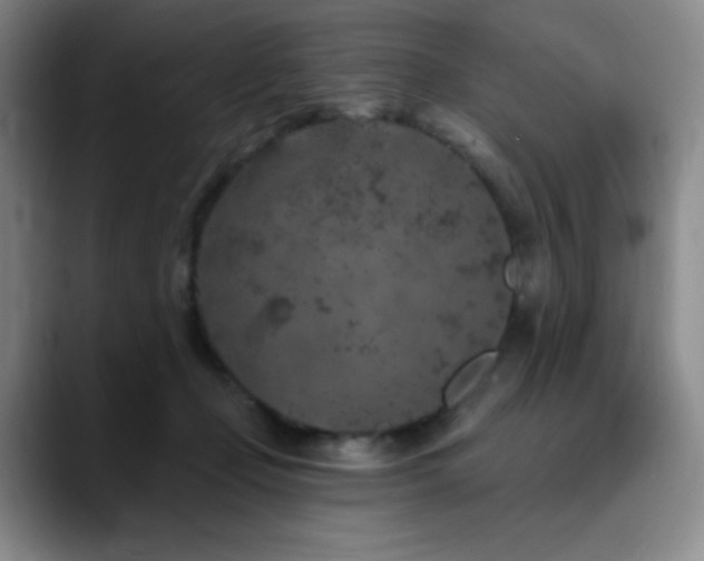 X0000090440365200707131224