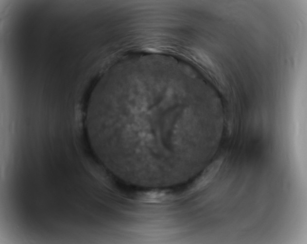 X0000090440366200707131224