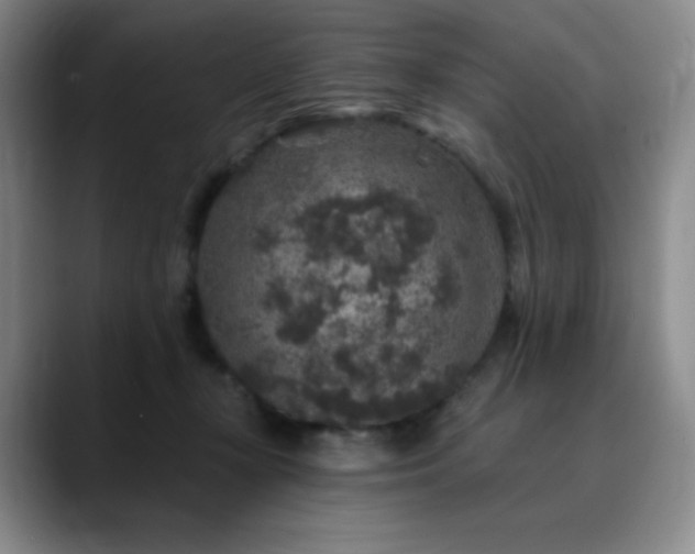 X0000090440367200707131224