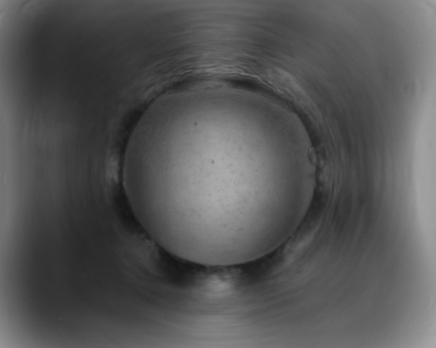 X0000090440368200707131224