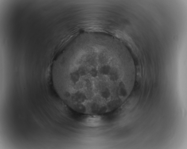 X0000090440369200707131224