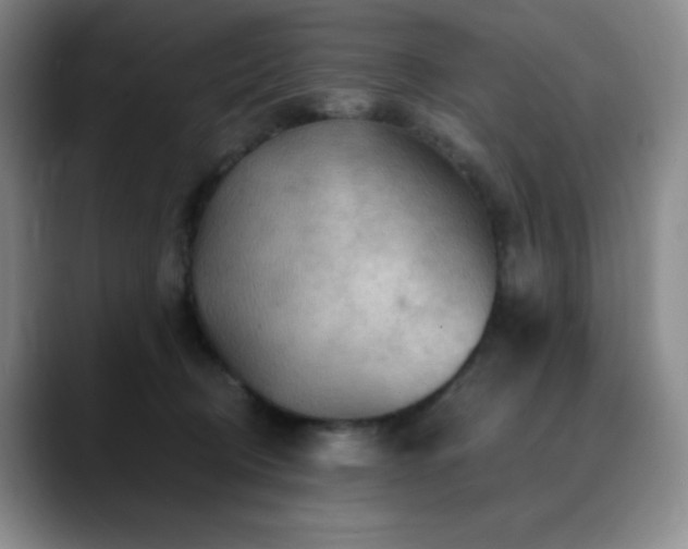 X0000090440370200707131224