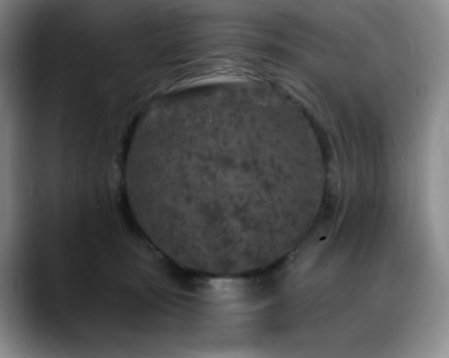 X0000090440371200707131224