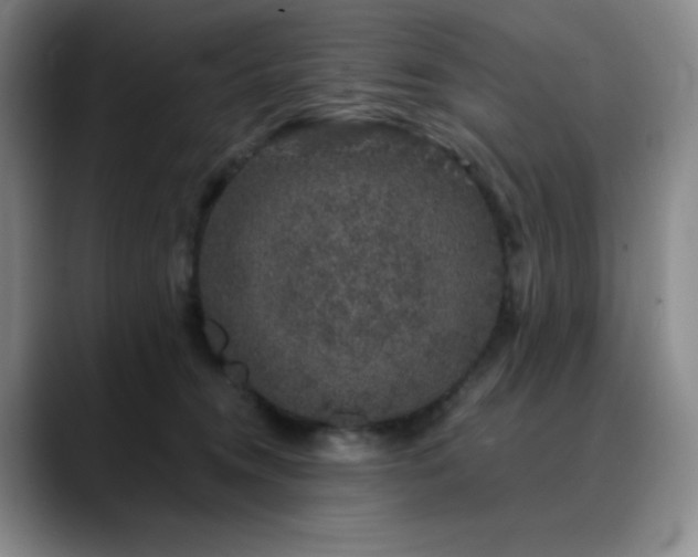 X0000090440372200707131224