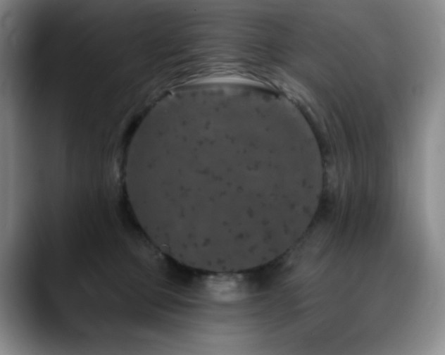 X0000090440373200707131224