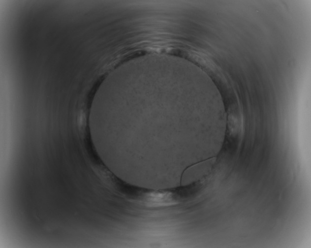 X0000090440375200707131224