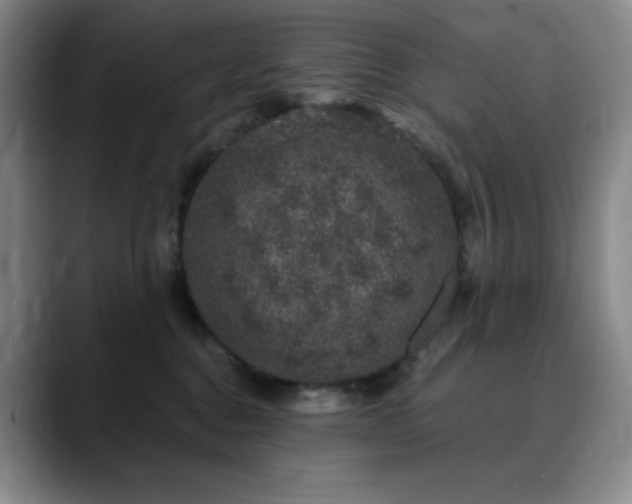 X0000090440376200707131224