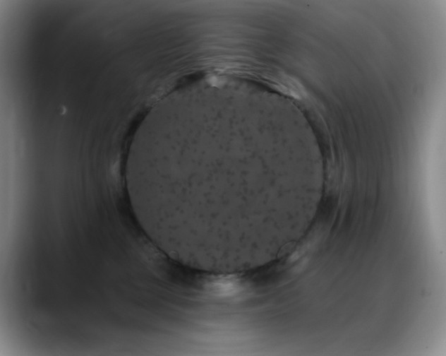 X0000090440377200707131224