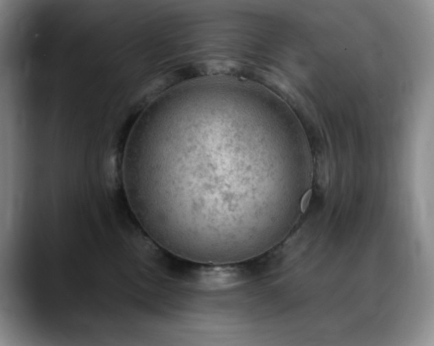 X0000090440378200707131224