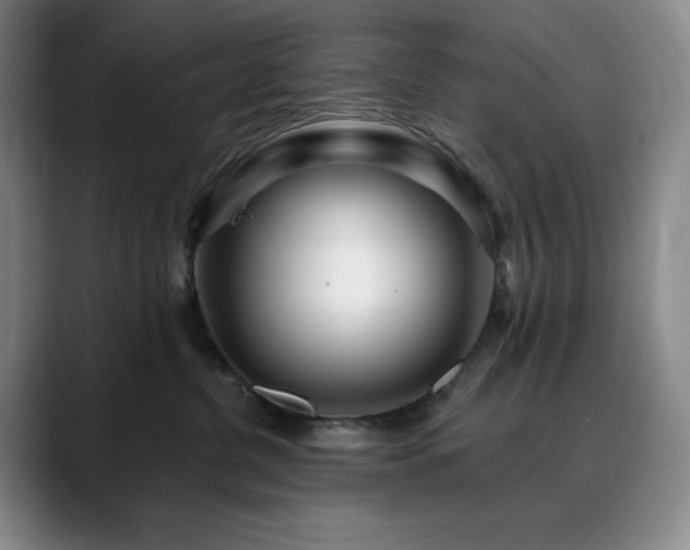 X0000090440380200707131224