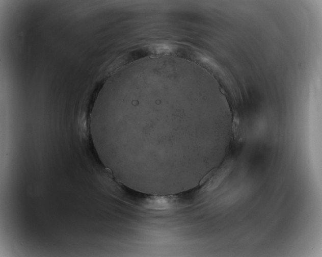 X0000090440381200707131224