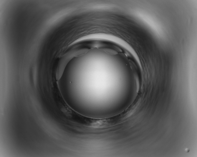 X0000090440382200707131224