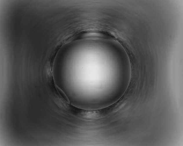 X0000090440384200707131224