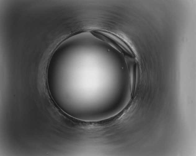 X0000090440385200707131224