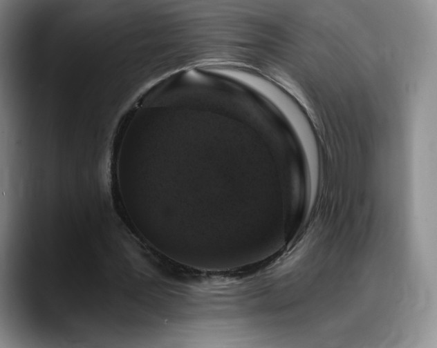 X0000090440387200707131224