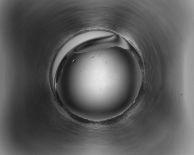 X0000090440389200707131224