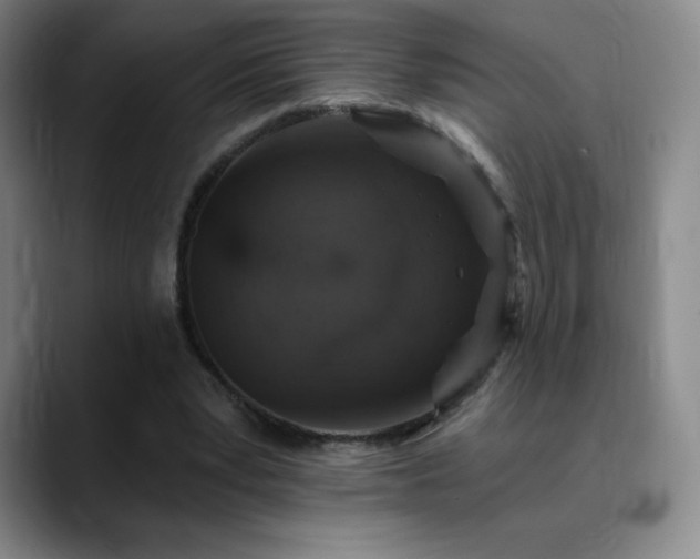 X0000090440391200707131224