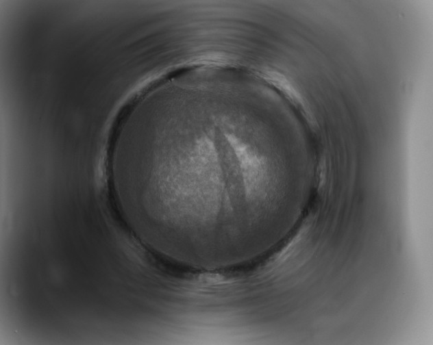 X0000090440392200707131224