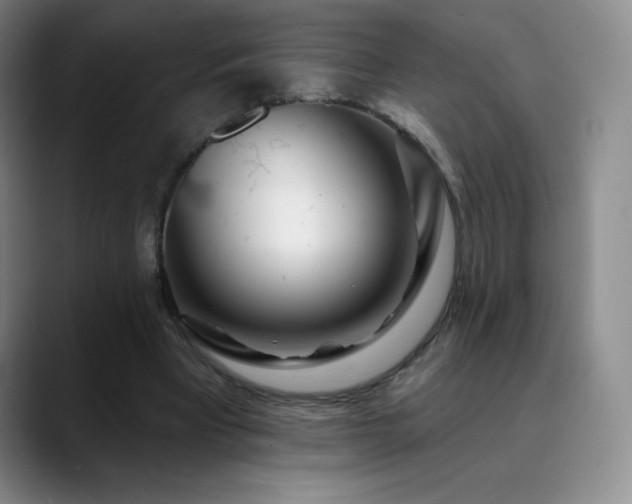 X0000090440393200707131224