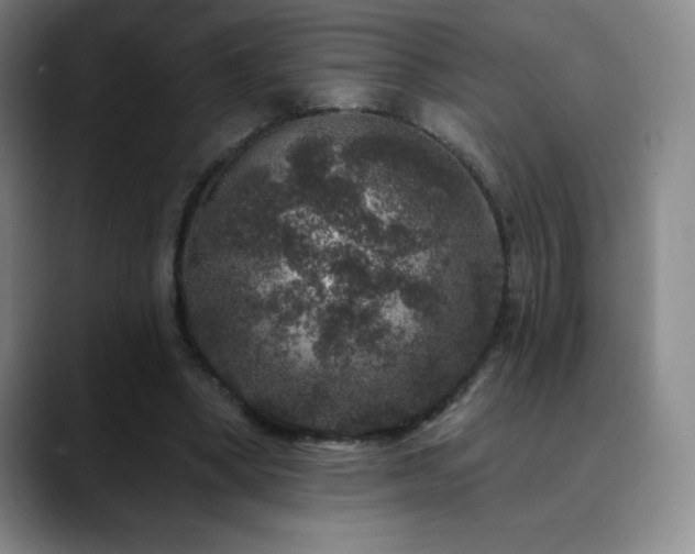 X0000090440394200707131224