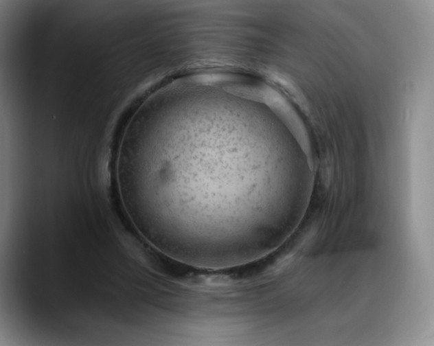 X0000090440395200707131224