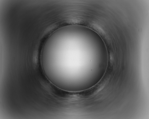 X0000090440396200707131223