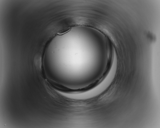 X0000090440397200707131223