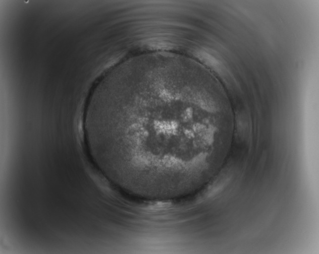 X0000090440398200707131223