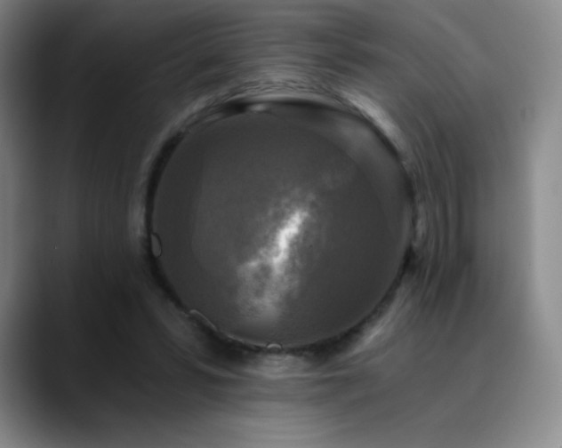 X0000090440399200707131223