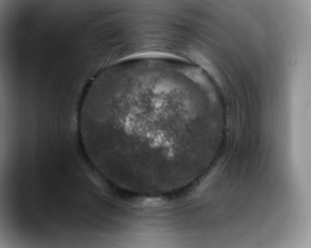 X0000090440401200707131223