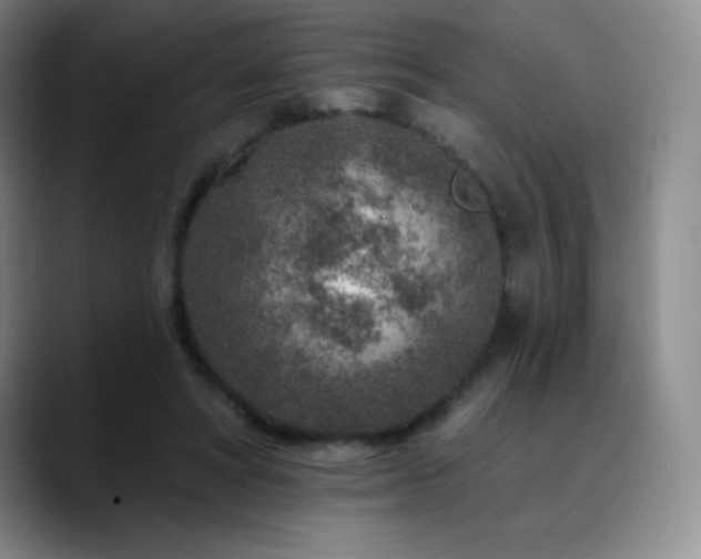 X0000090440402200707131223