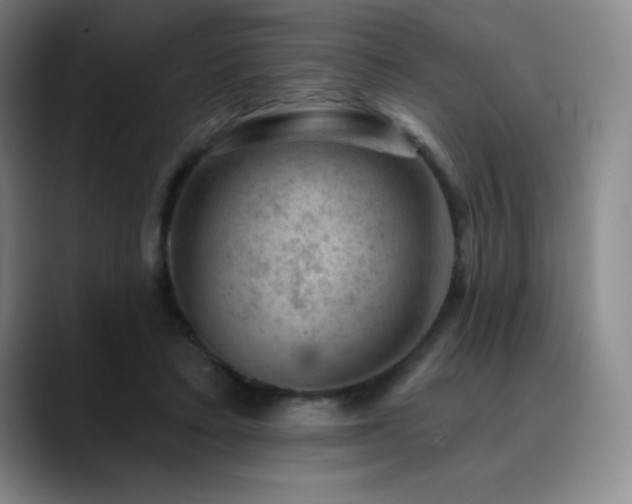 X0000090440403200707131223