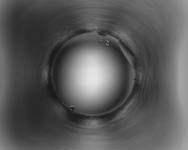 X0000090440404200707131223