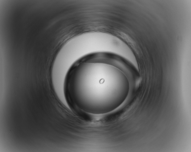 X0000090440405200707131223