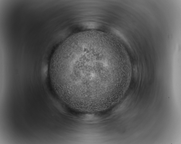 X0000090440406200707131223