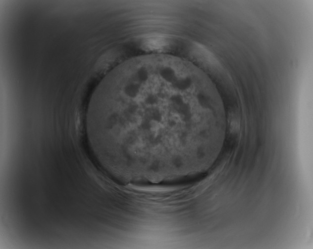 X0000090440408200707131223