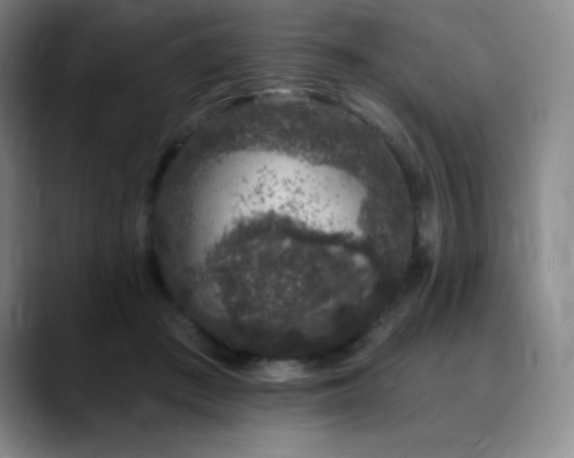 X0000090440409200707131223