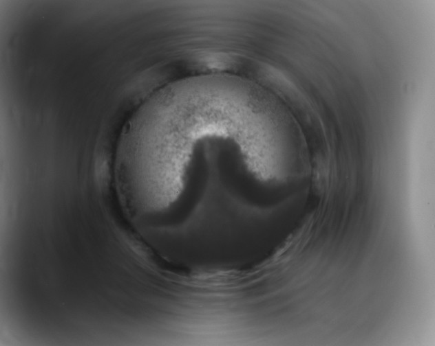 X0000090440410200707131223